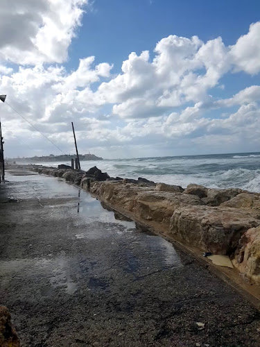 Opinii despre עמליה תל אביב Amalia TLV în תל אביב-יפו - הסעדה