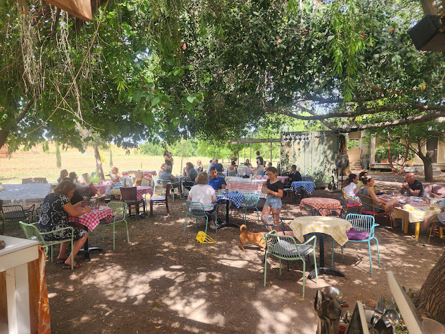 פופקומה בחצר