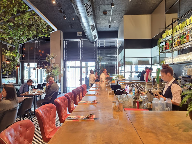 Opinii despre VIVINO - ויוינו פתח תקווה | כשר în פתח תקווה - הסעדה