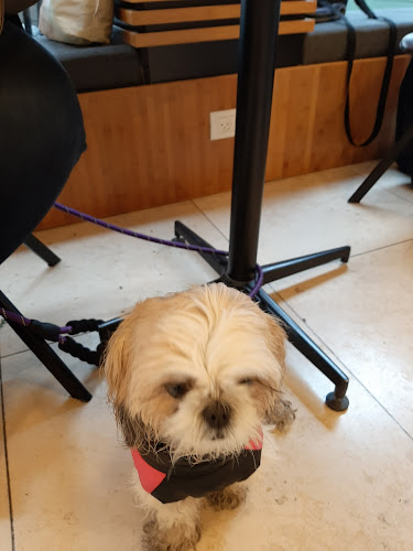 ז'בוטינסקי 16, ראשון לציון