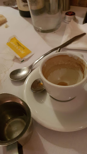 דולפין ים - Sea dolphin - הסעדה