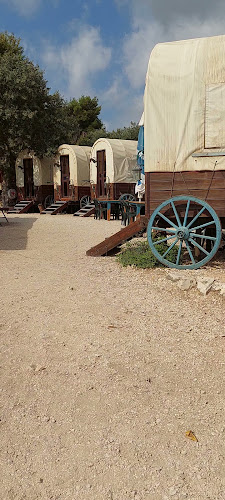 Opinii despre חוות בת יער în עמוקה - הסעדה