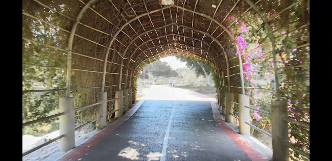 האקדמיה לנקניק