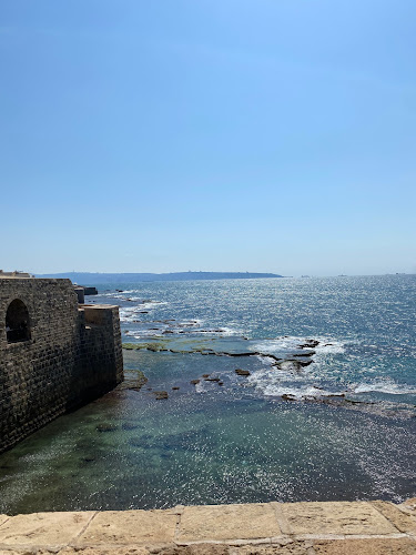 מסעדת הנמל הפיזני בעכו - הסעדה
