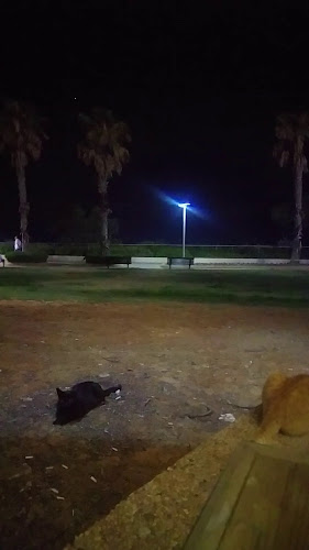 רד בורגר בר Red burger bar - הסעדה