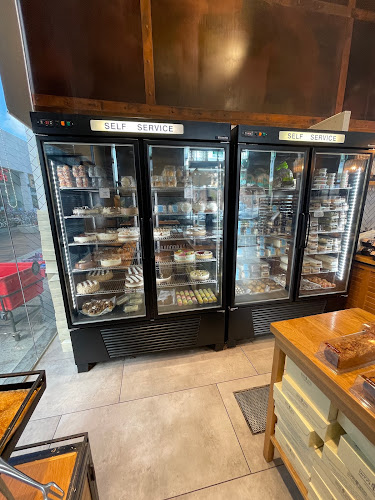 Comentarii opinii despre הדרך ללחם