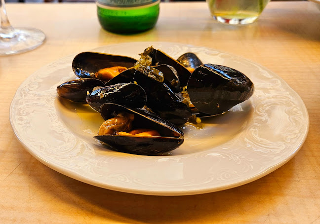 Comentarii opinii despre תלפיות