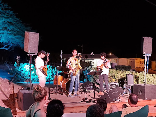 Comentarii opinii despre פאב הטווס