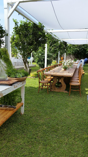 Comentarii opinii despre מגי ותולי