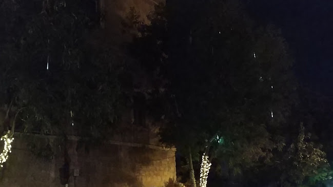 Opinii despre צ'ילי פיצה în ירושלים - הסעדה