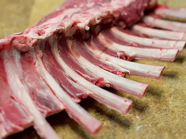 ליובאוויטש אקספרס - בשר, עוף וכבש שחיטת חב"ד! - הסעדה