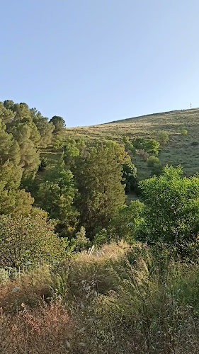 החלוצים, ראש פינה, 12000