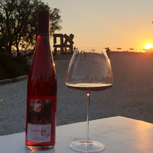 Comentarii opinii despre Pasek Cellars - משווק יין ומארזי גבינות אונליין