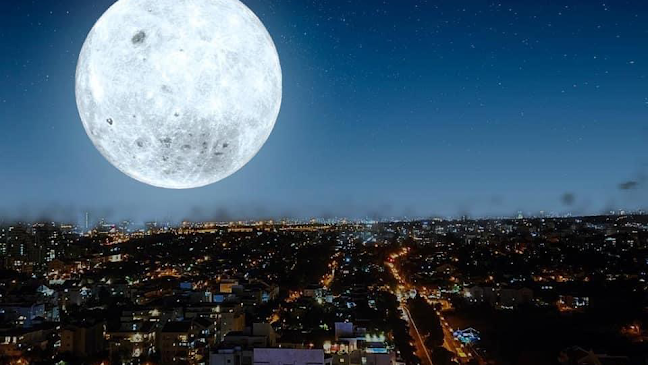 רופטופ בר - רעננה