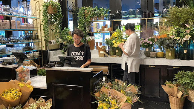 שלמה אבן גבירול 70, תל אביב-יפו, 6495206