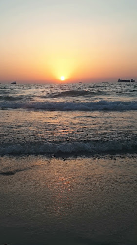 פטרה חוף הקשתות אשדוד - אשדוד