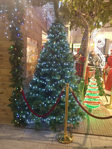 תופיק זיאד 53, נצרת