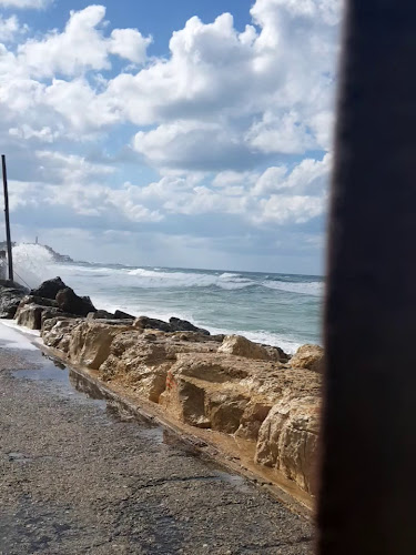 עמליה תל אביב Amalia TLV - תל אביב-יפו