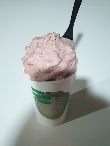 Comentarii opinii despre דלי קרים