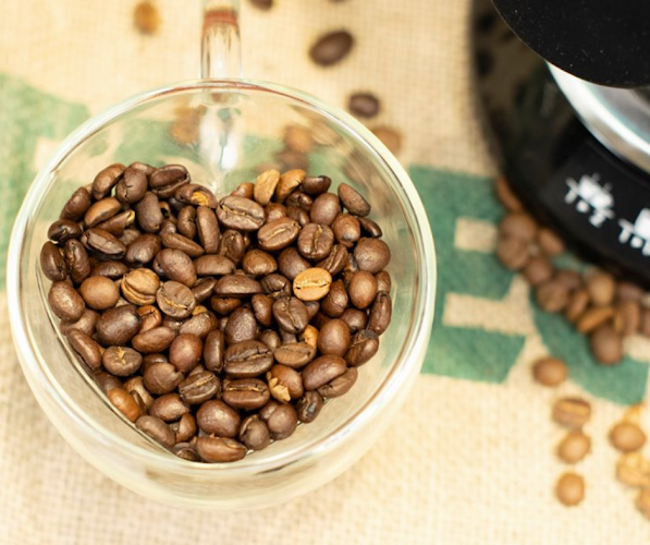 רוטשילד 55, ראשון לציון