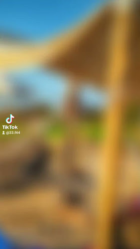 Comentarii opinii despre הום ביץ