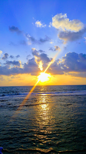 מסעדת סראיא עכו (2012) בע"מ