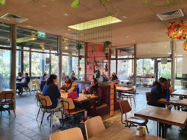 Comentarii opinii despre קפה גן סיפור