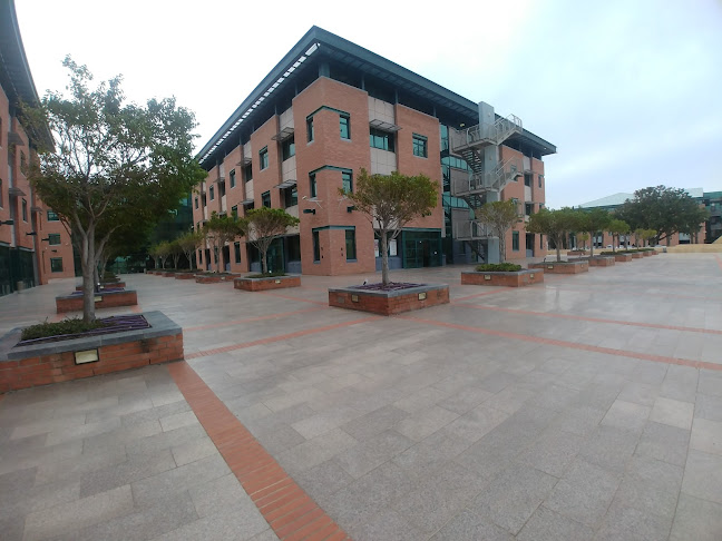 בית קפה אמברוזיה - יקום