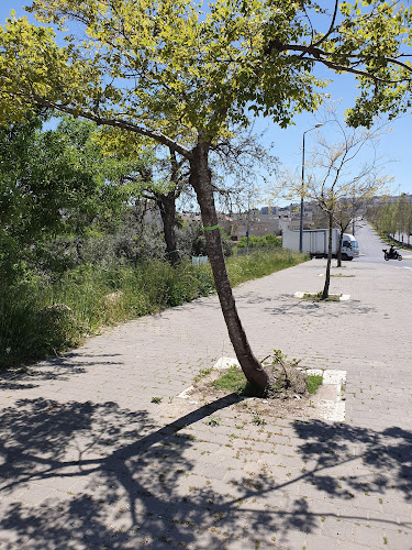 שיפודי הצומת - הסעדה