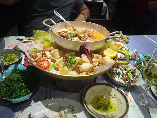 שוואטינא סטלה מאריס - הסעדה