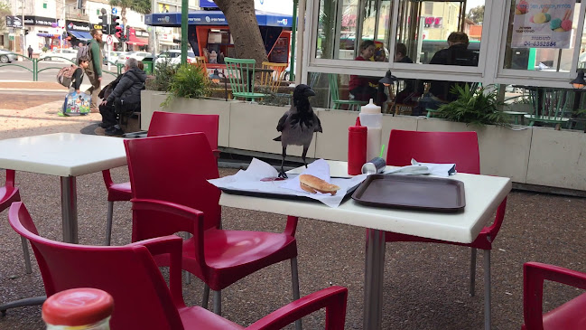 Comentarii opinii despre McDavid