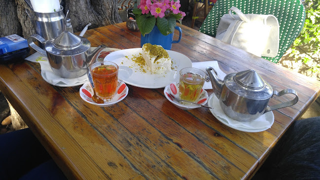 Comentarii opinii despre פטוש