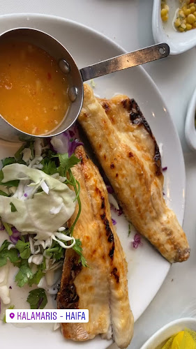 שוואטינא סטלה מאריס