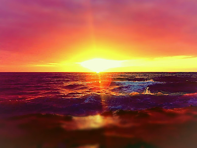 Opinii despre עטייה în תל אביב-יפו - הסעדה