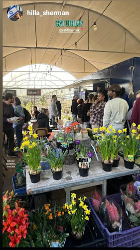 Comentarii opinii despre קפה בפטל - עגלת קפה וגלידה במרכז