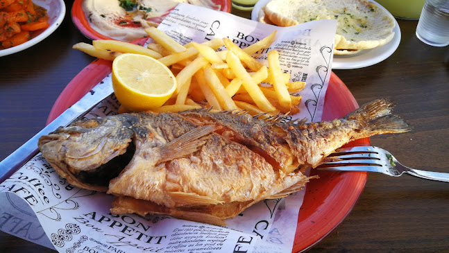 Rytal queen - עכו