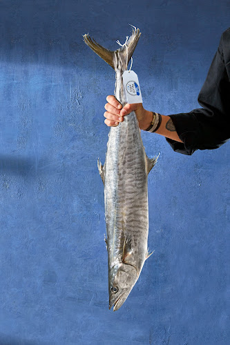 Comentarii opinii despre משק גורמה