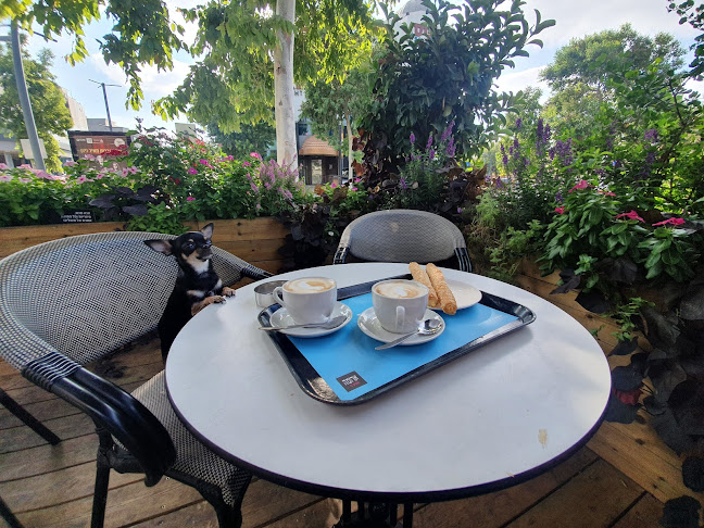 Opinii despre ארומה אספרסו בר în ראשון לציון - הסעדה