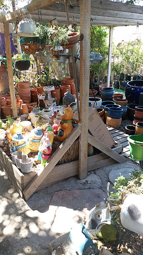 Comentarii opinii despre עולם החי והצומח