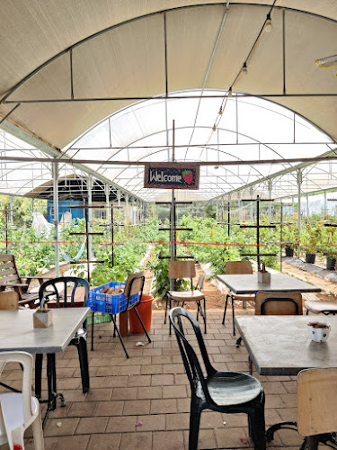 קפה בפטל - עגלת קפה וגלידה במרכז - ביתן אהרון