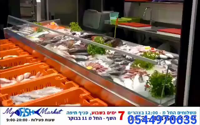 MY FISH MARKET