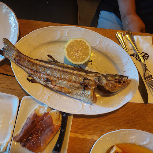 פסקדו אשדוד - אשדוד