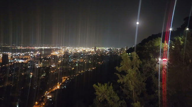 שוואטינא סטלה מאריס - הסעדה