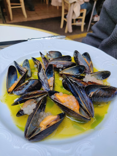 Comentarii opinii despre תלפיות