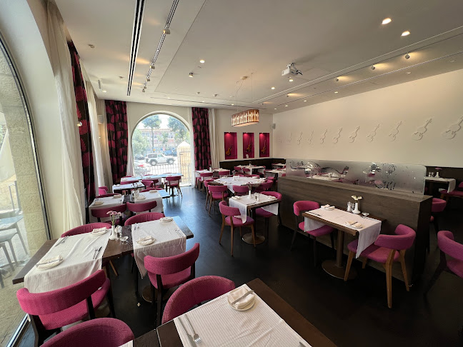 כינור בכיכר Kinor Bakikar