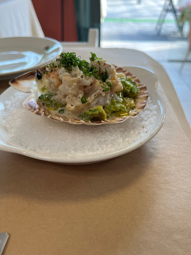 Comentarii opinii despre שפוי