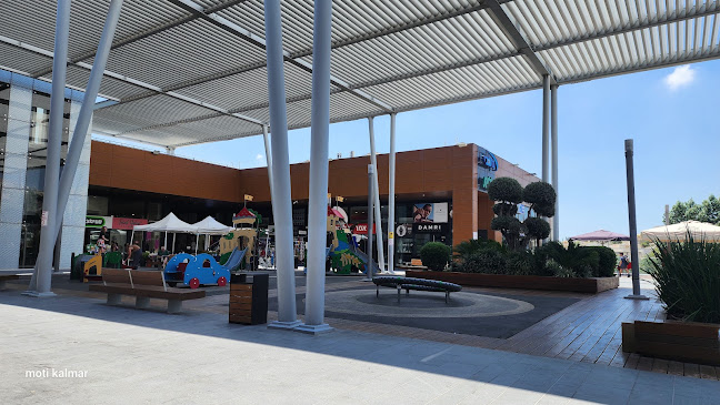 חלום יעקוב - הקונדיטוריה