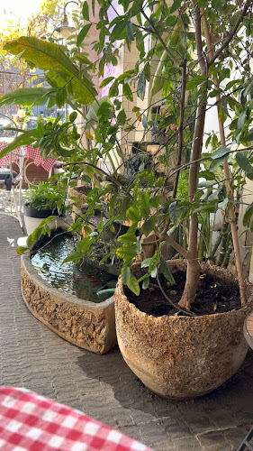 Opinii despre Eilat wines | יינות אילת în אילת - הסעדה