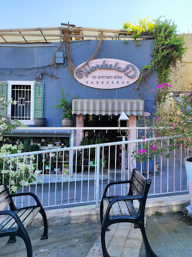 שוק ואדי ניסנאס