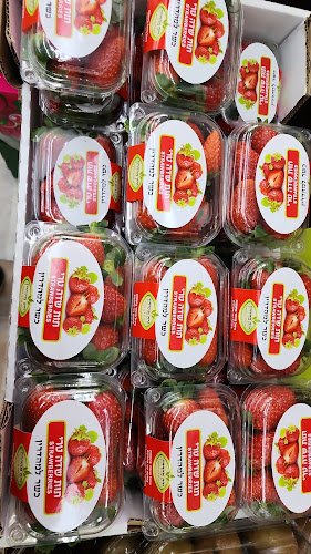 צ'אבס- דגי מעיין - הסעדה